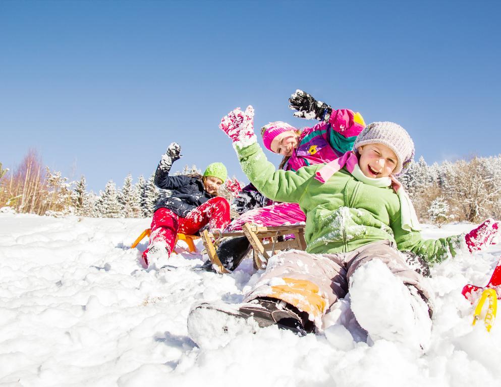 Alpina Zillertal . Family Lifestyle Kinderhotel Фюген Екстер'єр фото